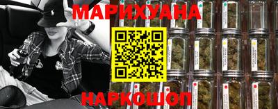сатива Будённовск