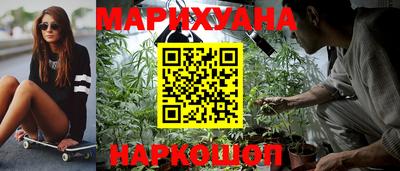 сатива Будённовск