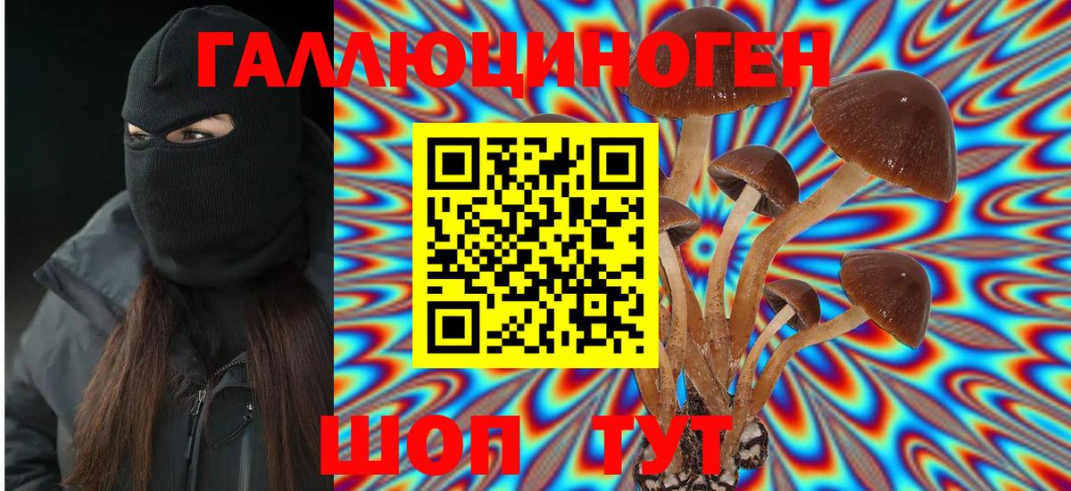 Тихорецк  Галлюциногенные грибы Psilocybine cubensis  Вход с VPN 